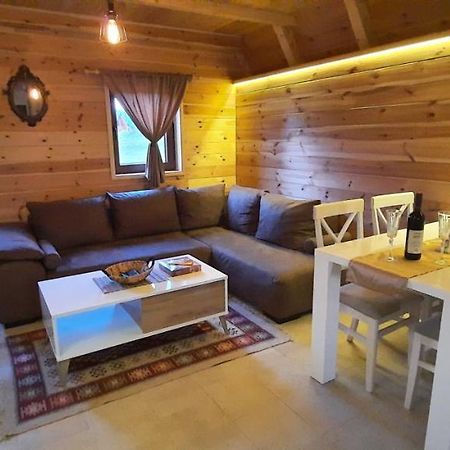 Mountain House Bjanka Villa Zabljak  Bagian luar foto